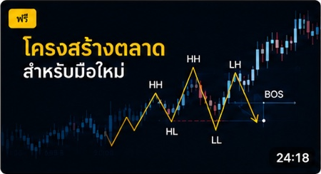 ภาพตัวอย่างบทเรียนโครงสร้างตลาดสำหรับมือใหม่